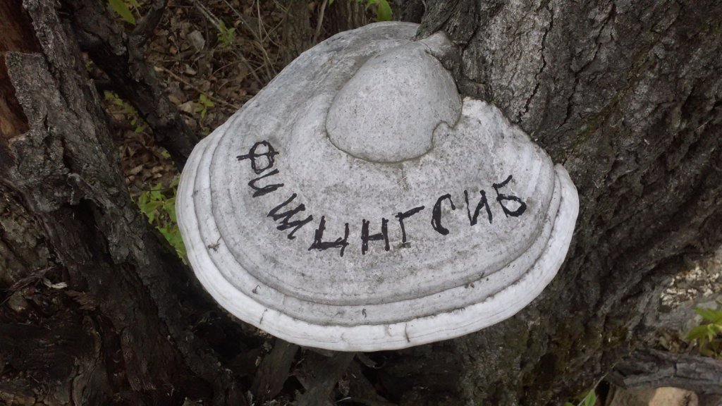 панама...
