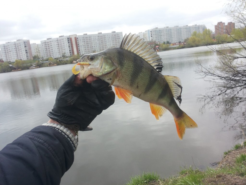 уговорил всётаки одного :)