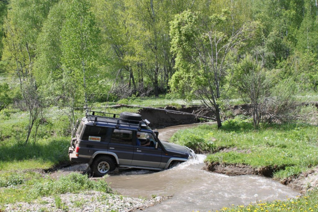Салаирский кряж
