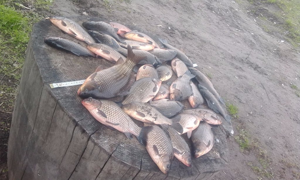 лежат загорают