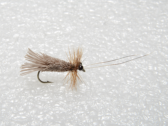 Goddard Sedge VM