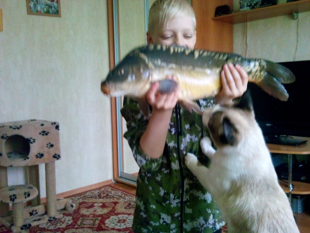 Любопытный