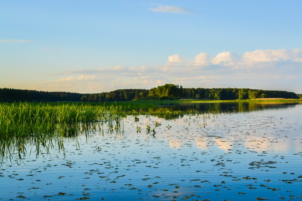 Шарап