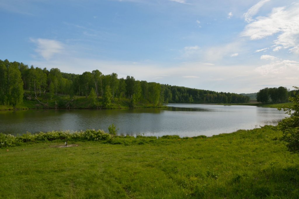 Река Суенга