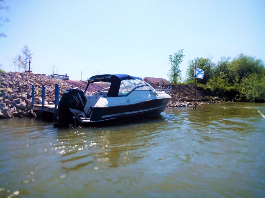 Мерк 250 коней