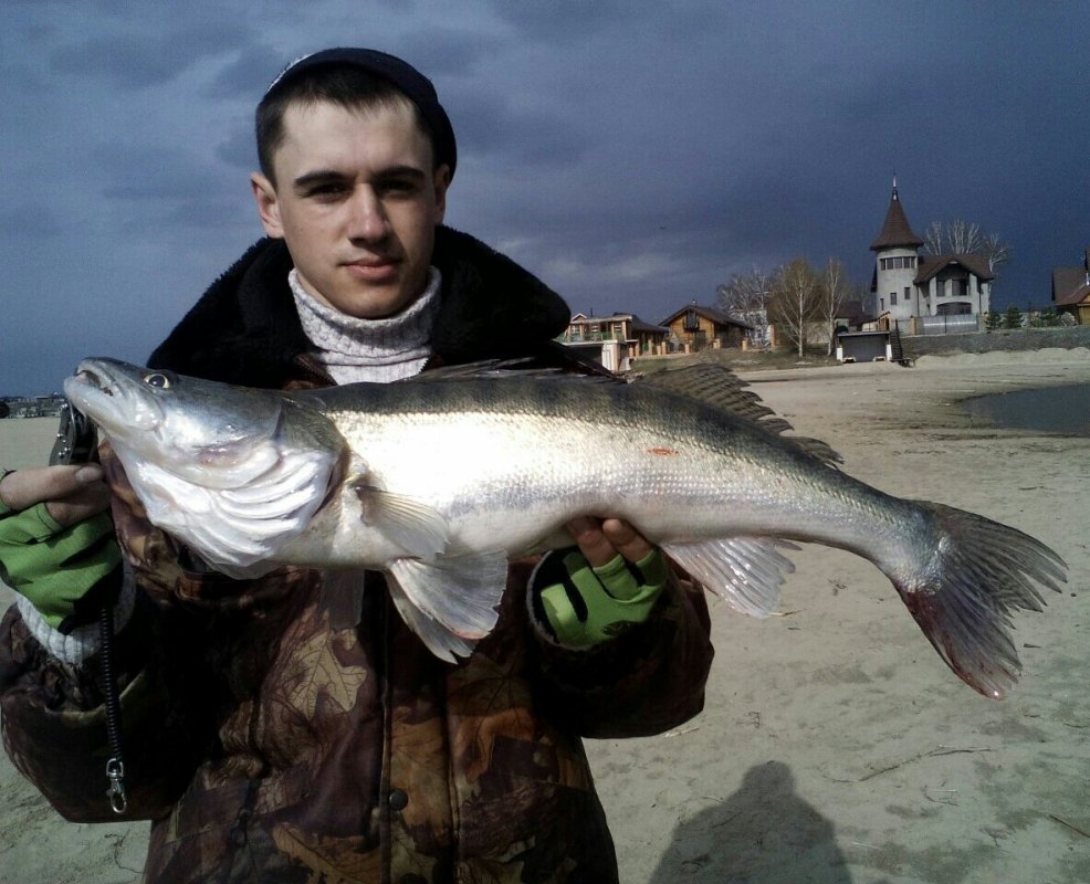 Судачок.)