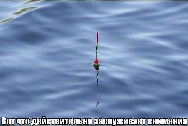 Наша правда!