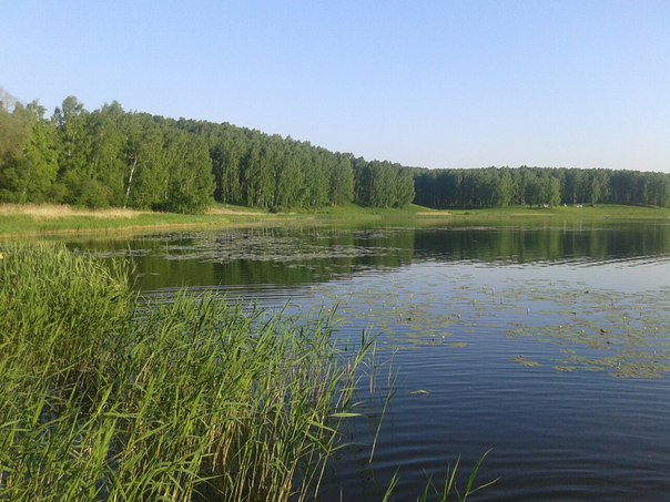 с дамбы