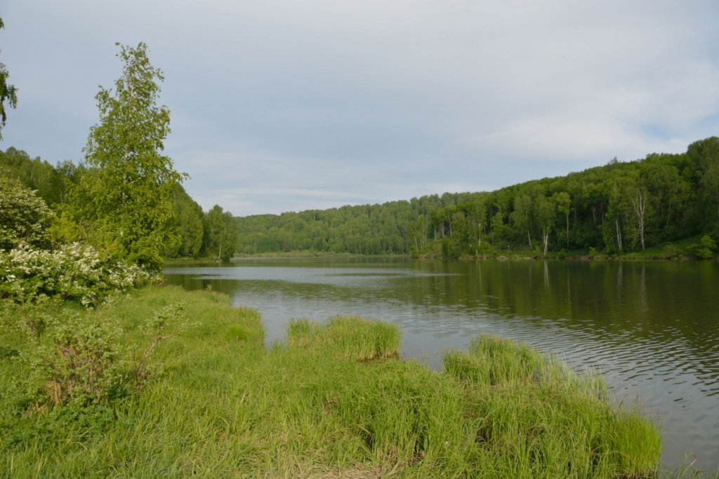 Река Суенга