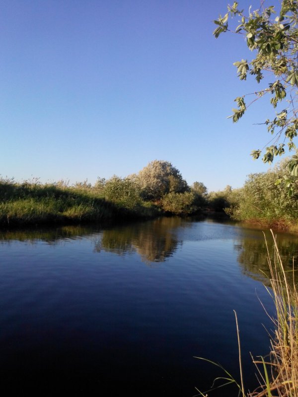Р. Карасук