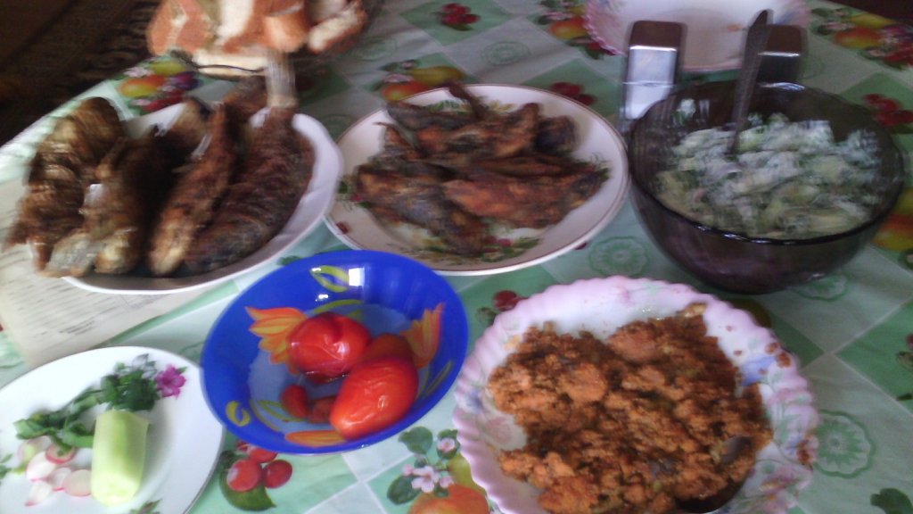 караси и ротаны