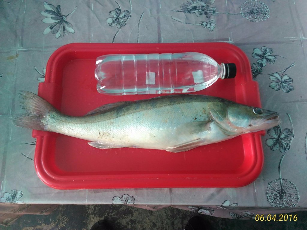 Открытие сезона