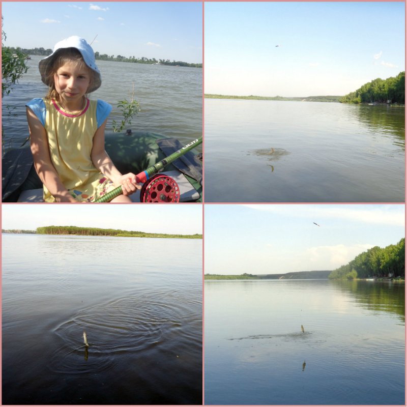 Стоп-кадры