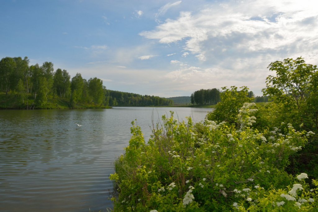 Река Суенга