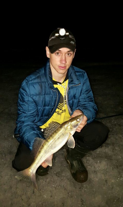 Ночной хиЩник.