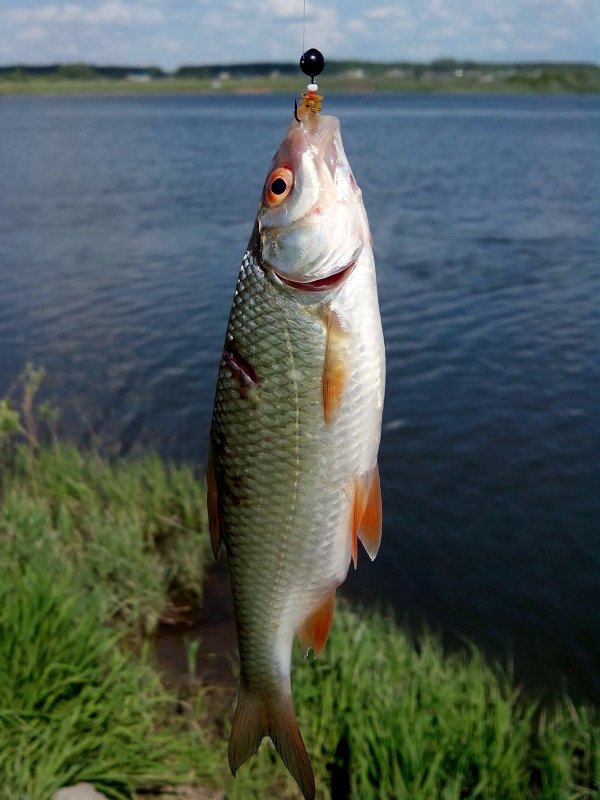 При слабом клёве мормышка выручает ))).