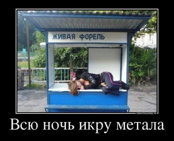 Живая форель
