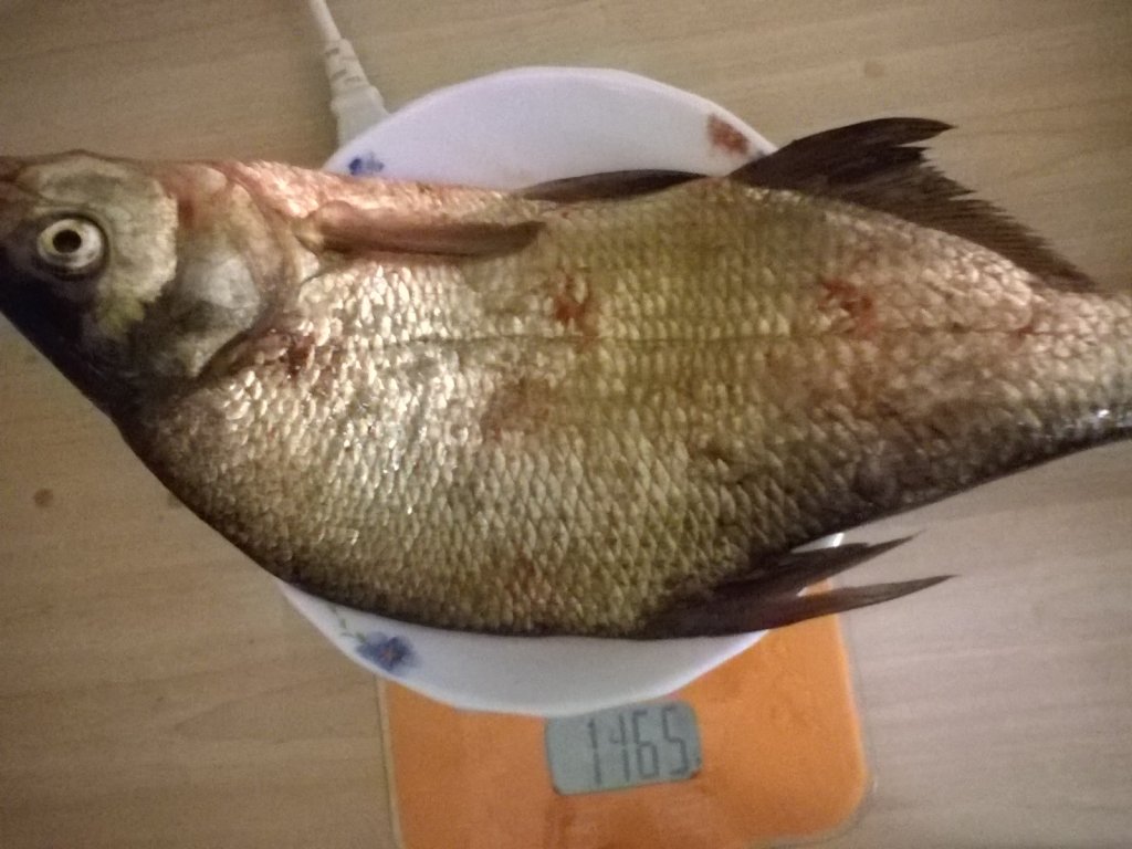 чашка 90 гр