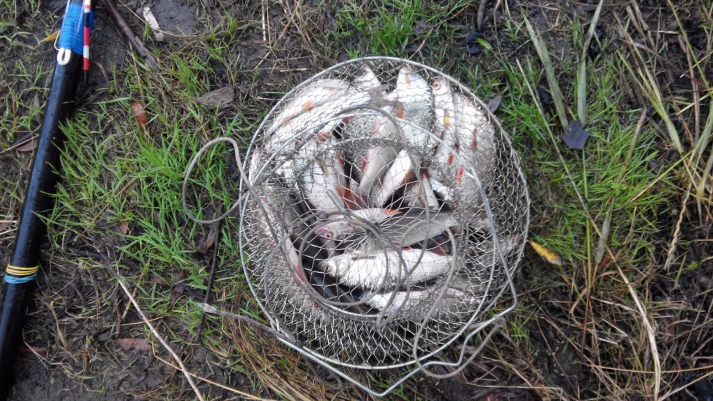 около 3,5 кг