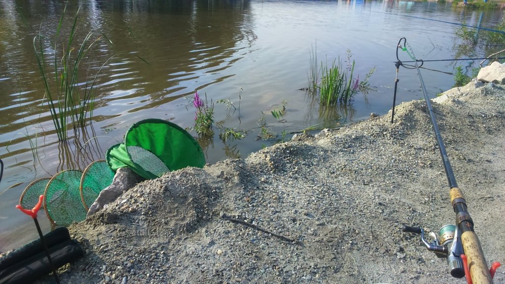 "Дорого но мило..."