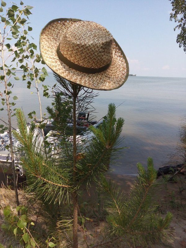 Дело в шляпе