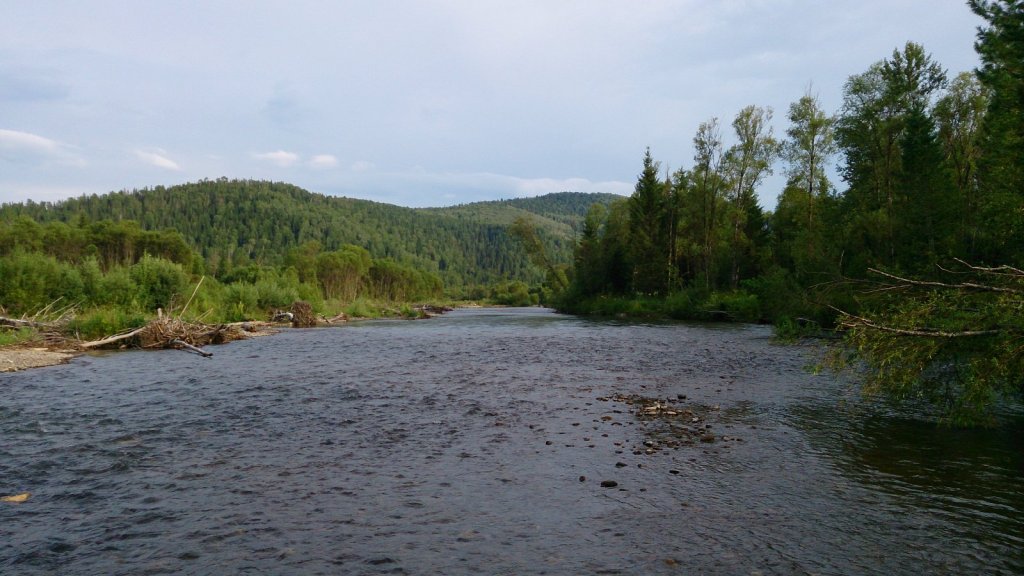 Плес
