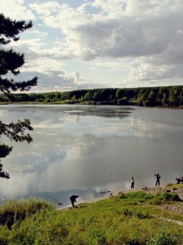 Дачная рыбалка