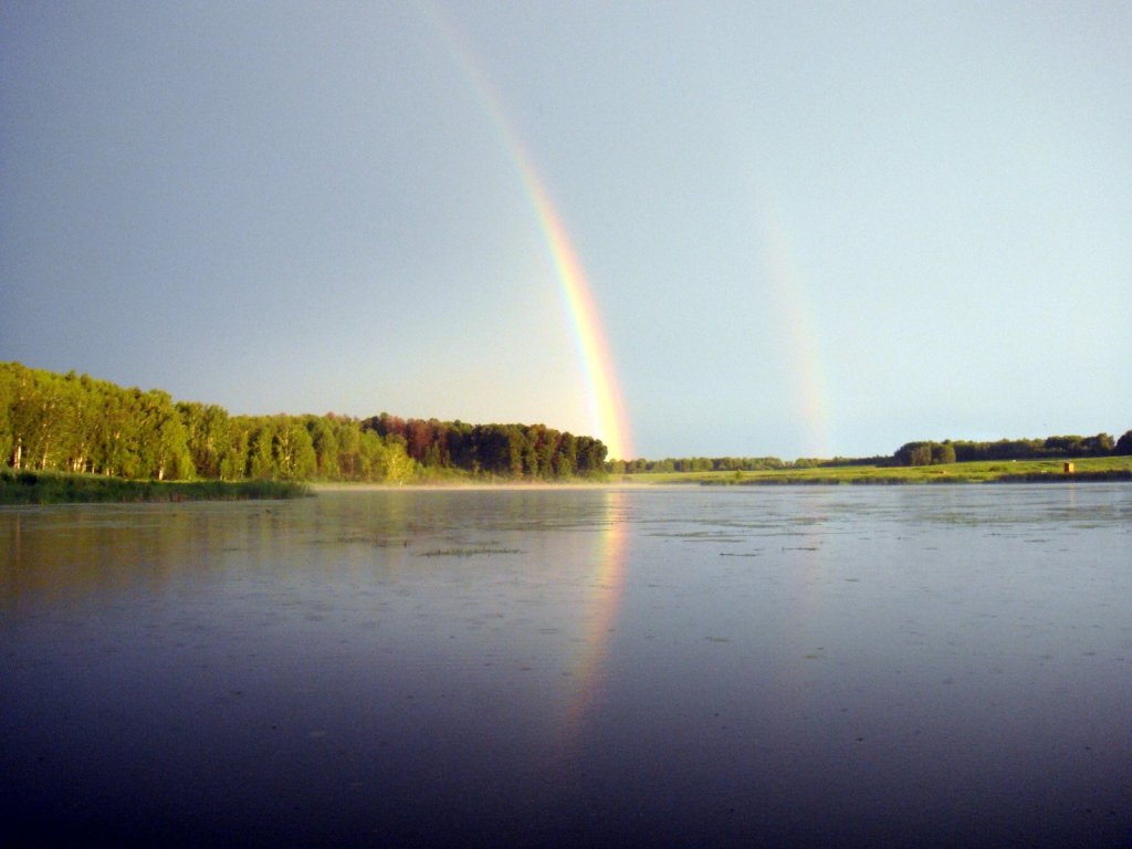 Прошла.