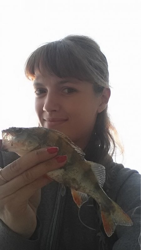 я и полосатый