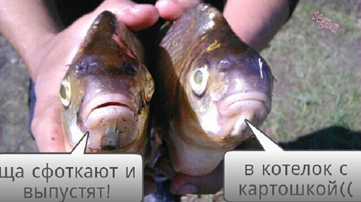 из инета)))
