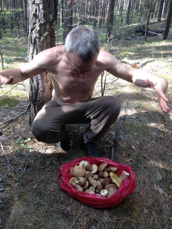 Каракан грибы 1
