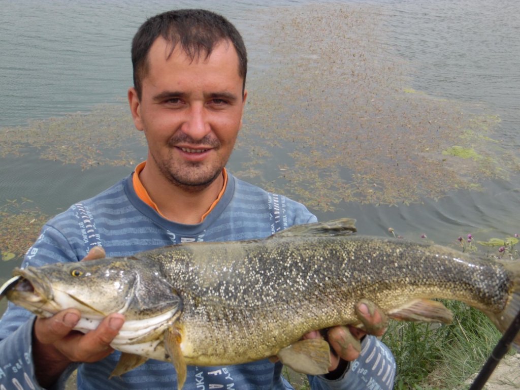осман