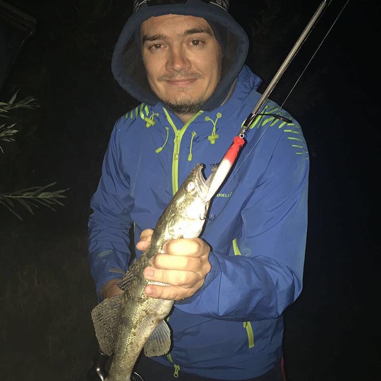 Судачек