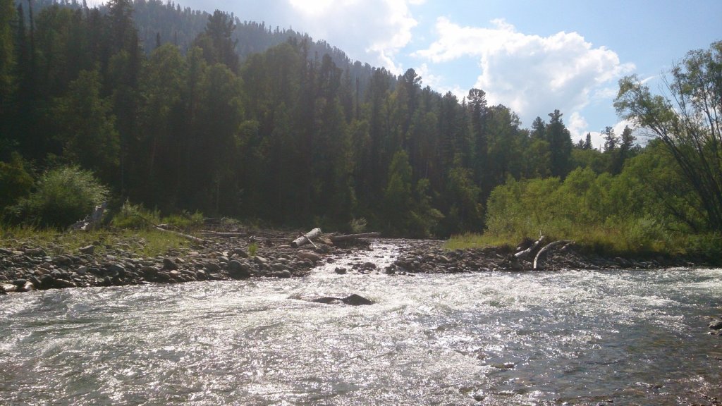 Каракокша *
