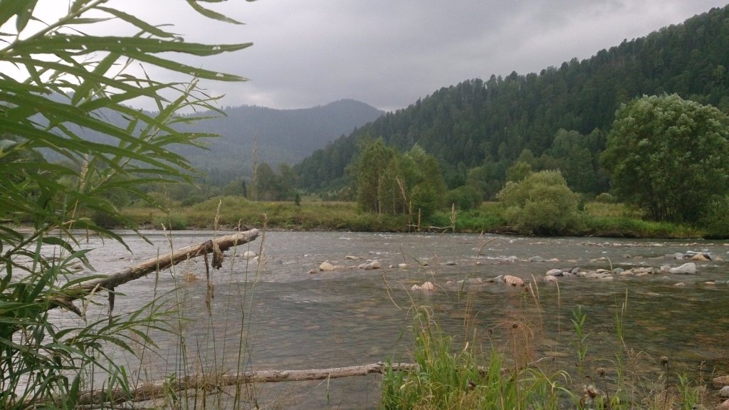 Плес