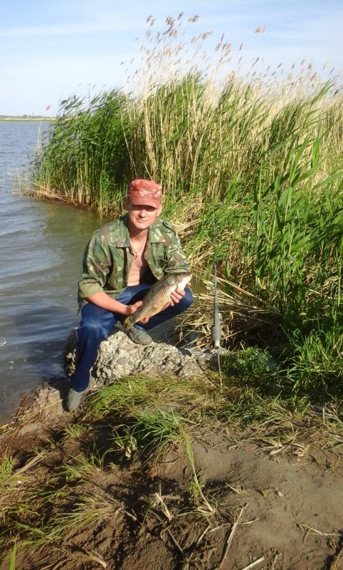 сазан