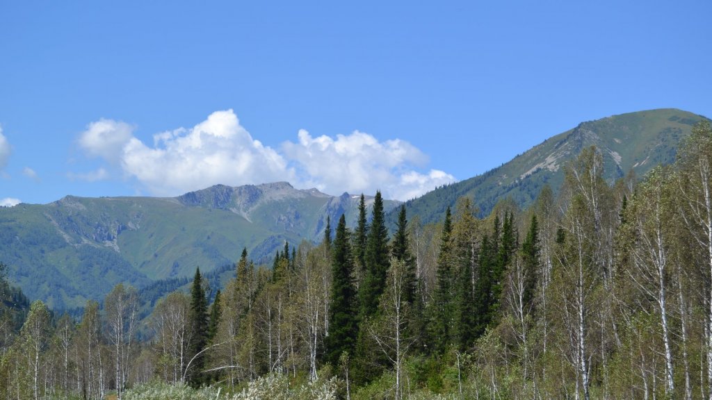 По Хамиру за хариусом.