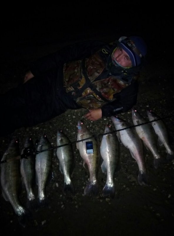 Megabass Ito Shiner сделал рыбалку)