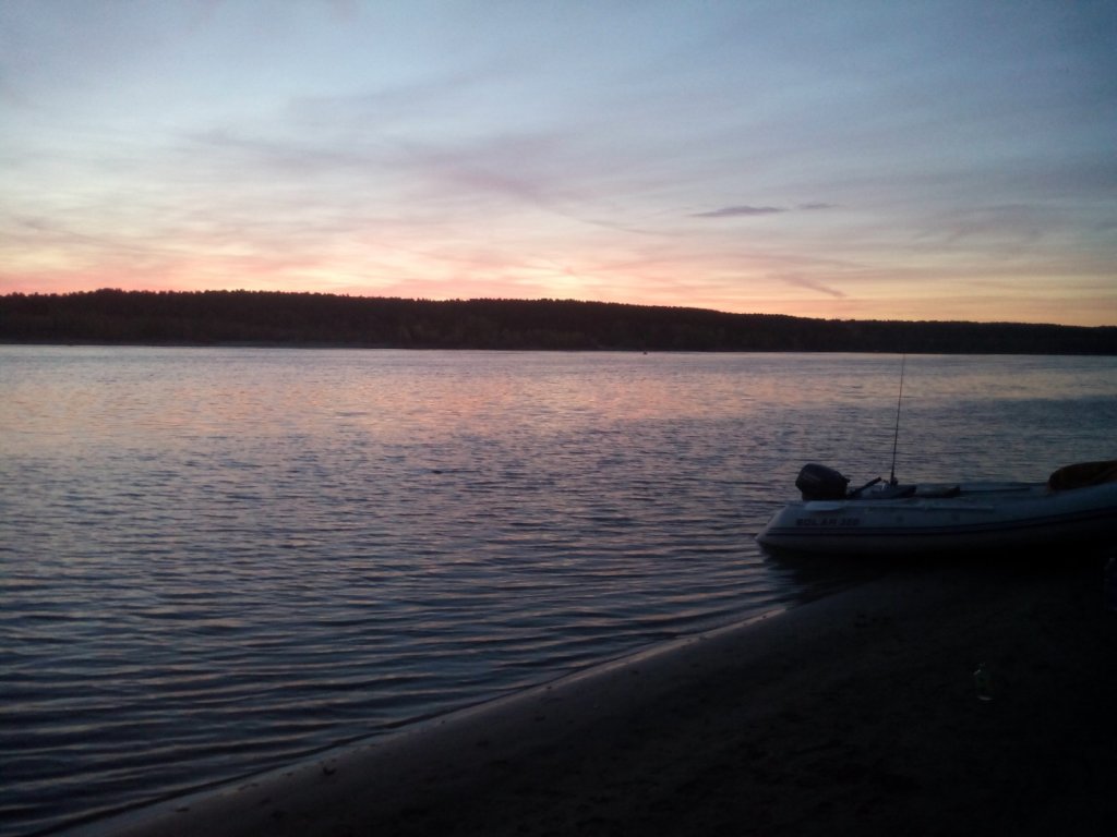 Зорька