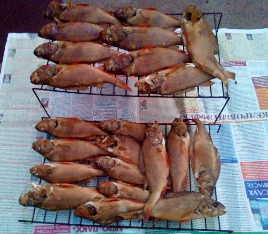 Окушки