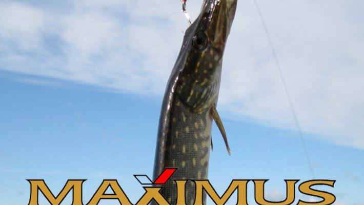 Тест-драйв спиннингов Maximus окончен. Так кому же достанутся призы?