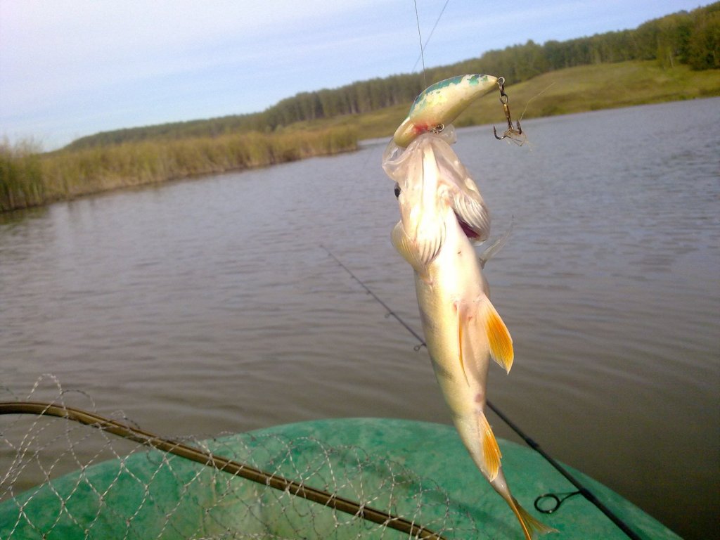 Окунек