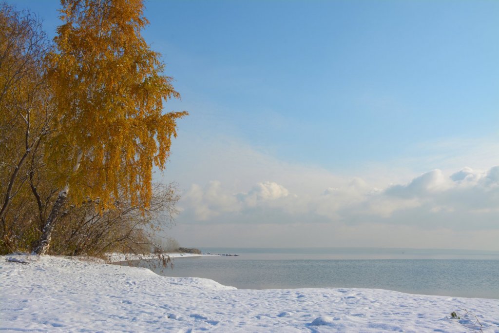Осень не сдаётся.