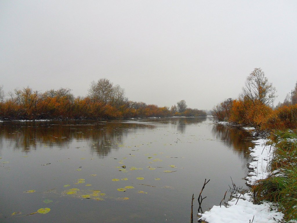 Курья(сегодня)...