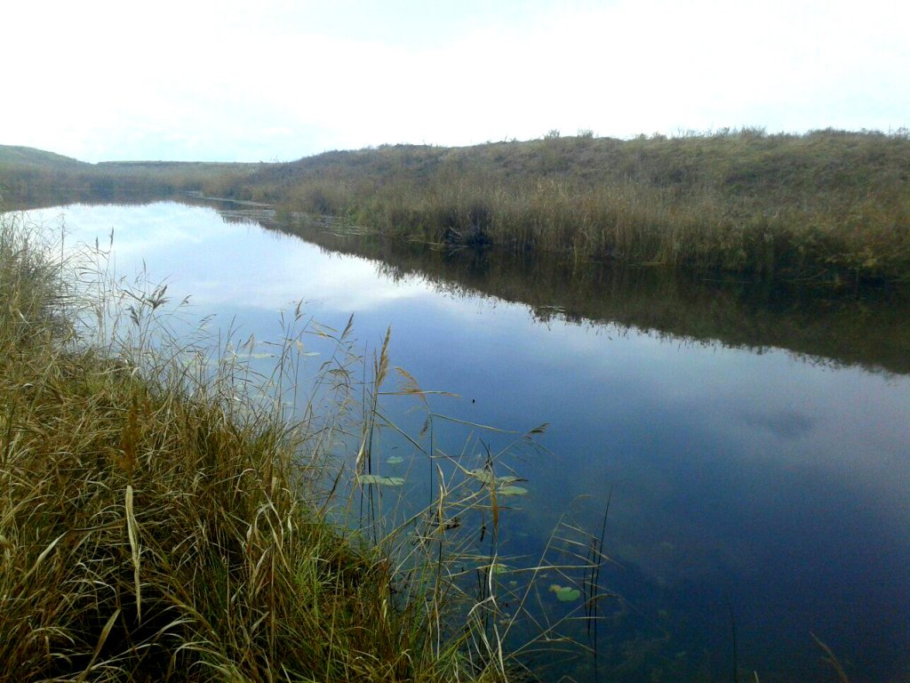 Осень на степной речке