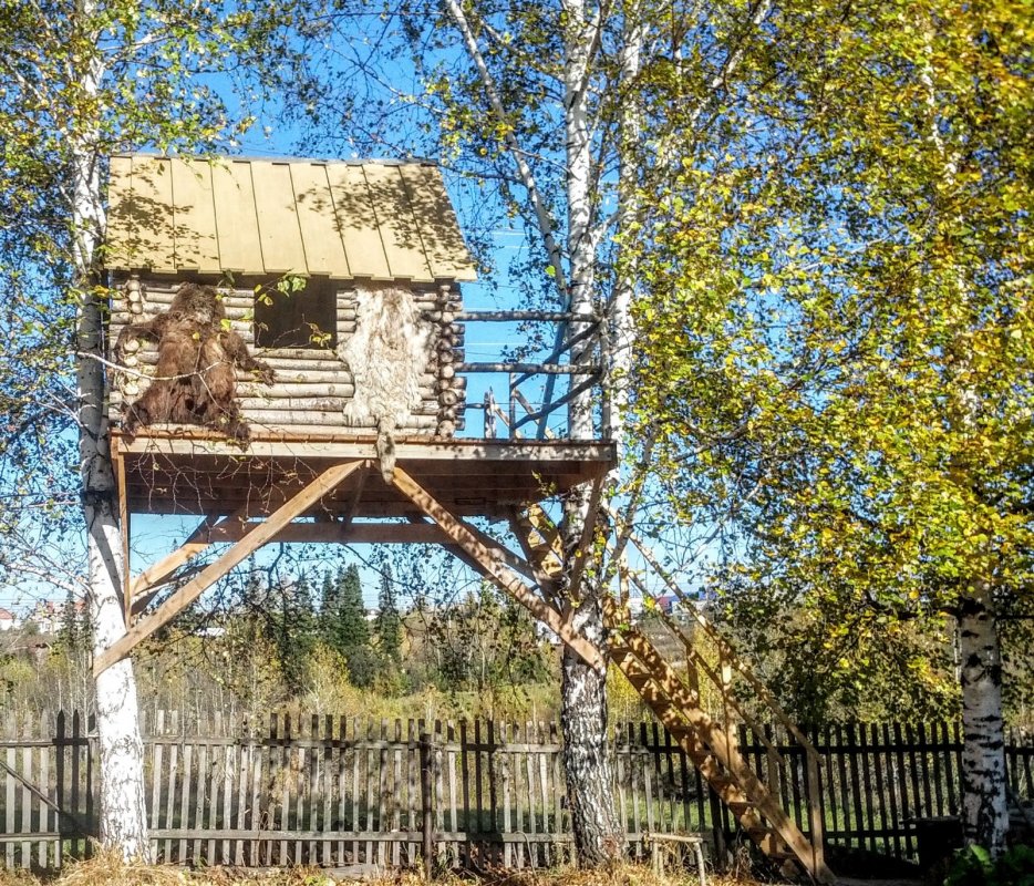 Лёвкин дом.