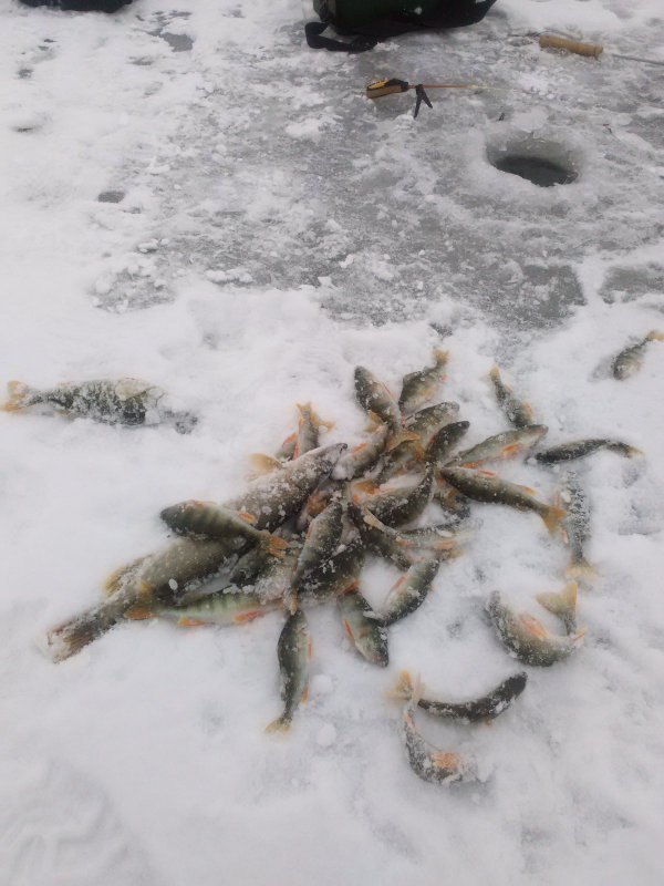 Сезон 2016 по твёрдой воде открыт.