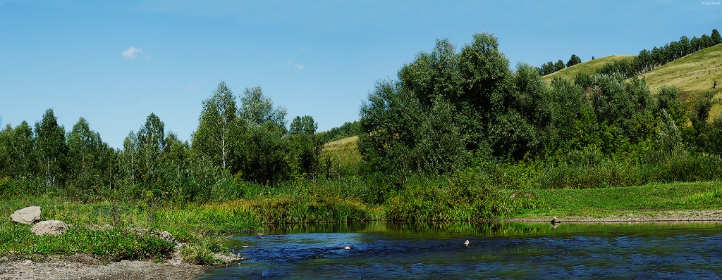 Алтай. В холмах у Аи.