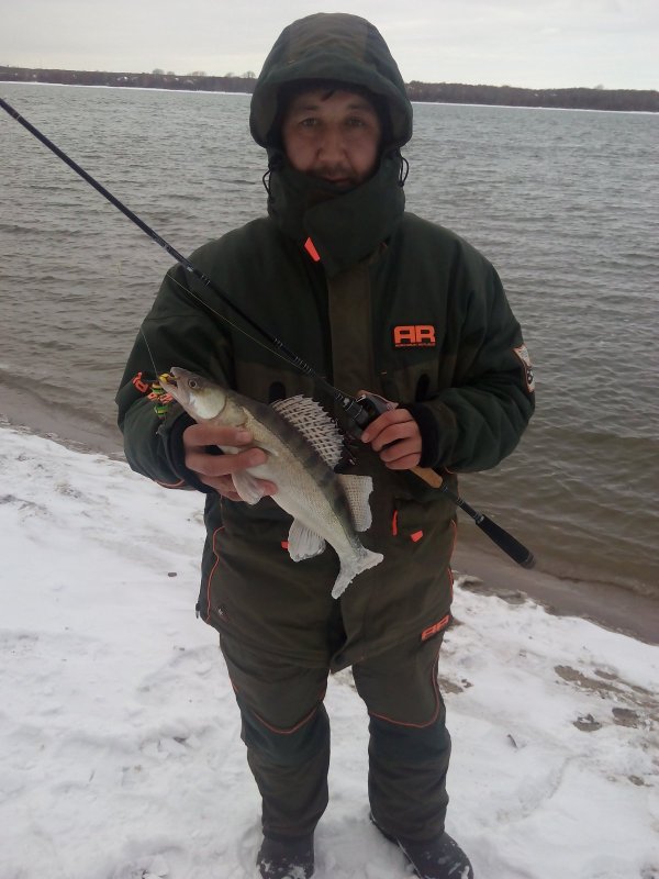 Матвеевский судачек.