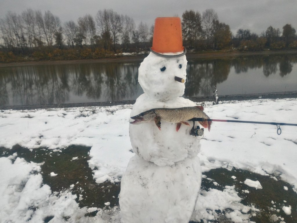 Сезон закрыл